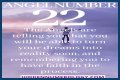 
ANGEL NUMBER 22
