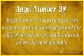 
ANGEL NUMBER 39
