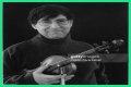 David Shapiro (musician)