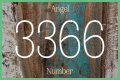 
Repeating Angel Numbers - 3's and 6's  (3366, 3636, 6633, 6363 etc)
